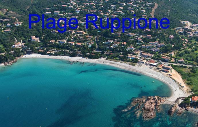 Vue Mer Panoramique Plage 50M Porticcio Corse Eksteriør billede