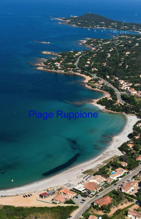 Vue Mer Panoramique Plage 50M Porticcio Corse Eksteriør billede