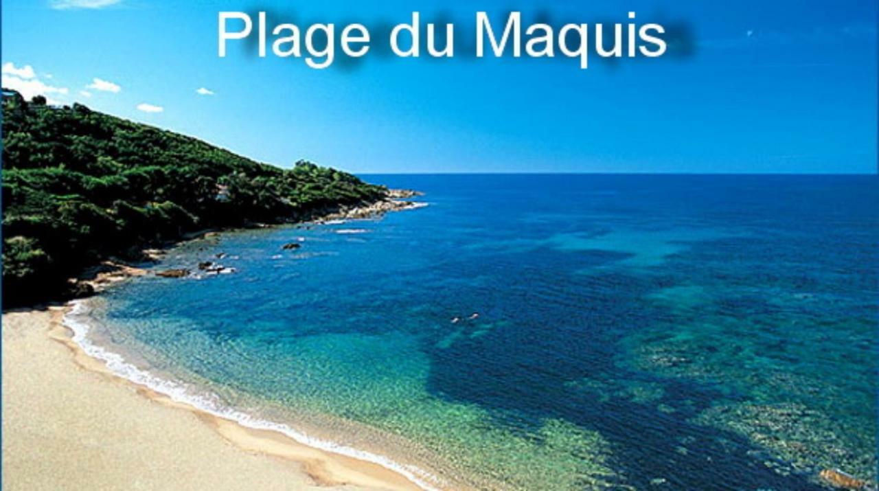 Vue Mer Panoramique Plage 50M Porticcio Corse Eksteriør billede